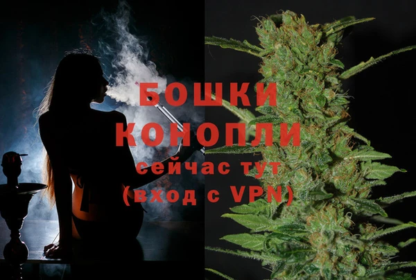 spice Алзамай