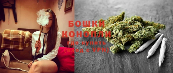 spice Алзамай