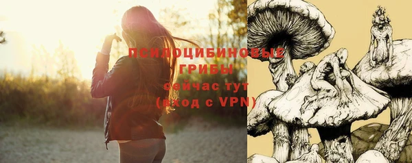 spice Алзамай