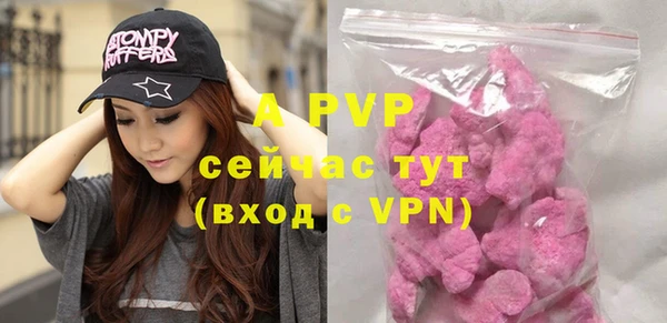 стафф Снежногорск