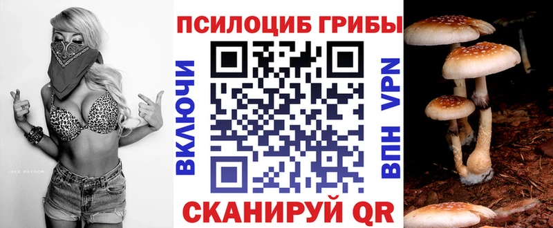 Псилоцибиновые грибы ЛСД  ОМГ ОМГ ссылки  Дно  как найти закладки 