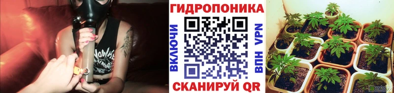 Бошки марихуана Ganja  Дно 